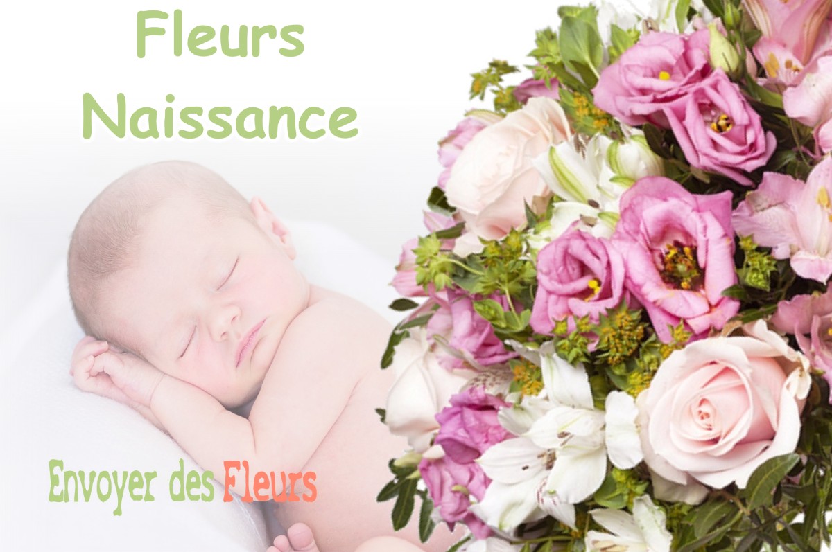 lIVRAISON FLEURS NAISSANCE à CONNANTRAY-VAUREFROY